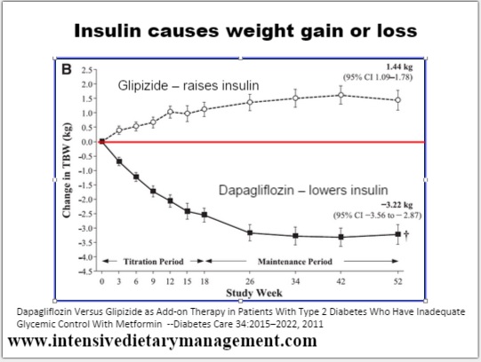 insulina ganar perder peso